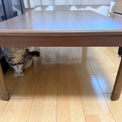 ニトリこたつの画像