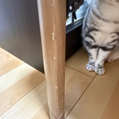 ニトリこたつの画像