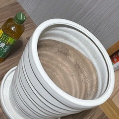 植物　鉢の画像