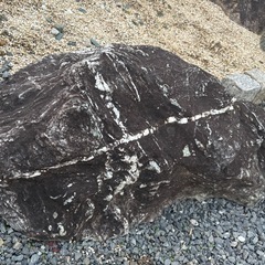 筑波石　川石の画像