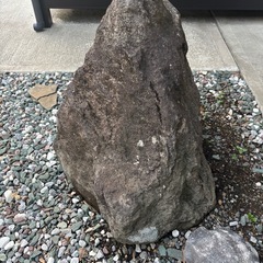 筑波石　川石の画像