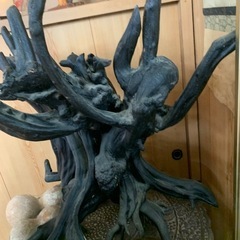 大型 流木オブジェ / 一点物の画像