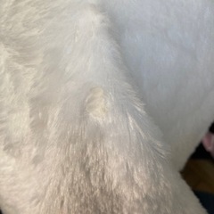 ぬいぐるみ 2つの画像