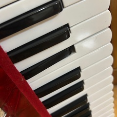 アコーディオンの画像