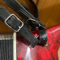 アコーディオンの画像