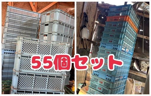 サンテナー、コンテナ