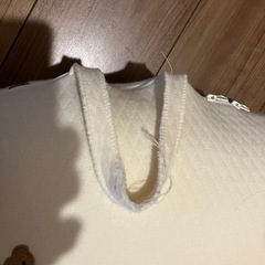 ロトトクッション（袋付き）の画像