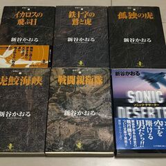 年末年始に、格安で、新谷かおる作品を満喫して下さい。30巻セットの完結セットで堪能して下さい。の画像