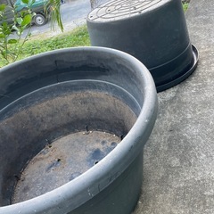 鉢の画像