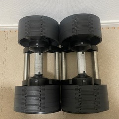 可変式ダンベル　片側20kgの画像