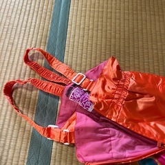 【条件付き値引きあり】スキーウェア一式（就学前後女子用）の画像