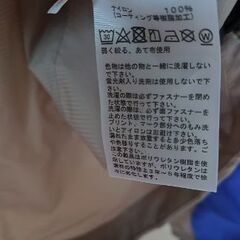 ノースフェイス　スワローフーディーの画像