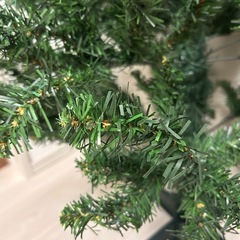 クリスマスツリーの画像