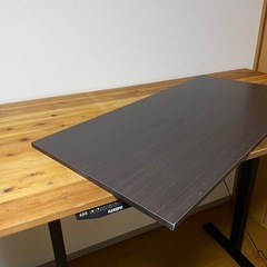 【自宅手渡し限定】FLEXISPOT 電動式 昇降 ゲーミングデスク ブラック EF1Bの画像