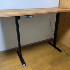 【自宅手渡し限定】FLEXISPOT 電動式 昇降 ゲーミングデスク ブラック EF1Bの画像