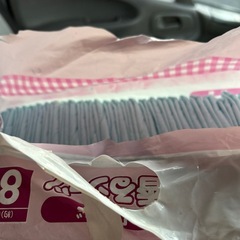 わんちゃんのトイレシートの画像