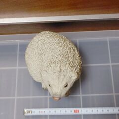 ハリネズミ　①　ナチュラル　オーナメント　置物　飾り　かわいい　置き物の画像