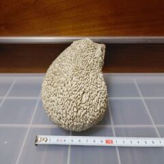 ハリネズミ　①　ナチュラル　オーナメント　置物　飾り　かわいい　置き物の画像