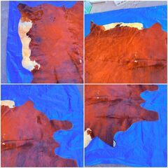 【❗️✨高級感あふれる✨❗️】✨毛皮ラグ 大型サイズ 約247×200cm 本革敷物 現状品✨の画像