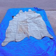 【❗️✨高級感あふれる✨❗️】✨毛皮ラグ 大型サイズ 約247×200cm 本革敷物 現状品✨の画像