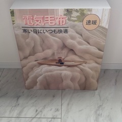 ふわふわ 電気毛布 大判 190×130の画像