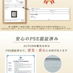 ふわふわ 電気毛布 大判 190×130の画像