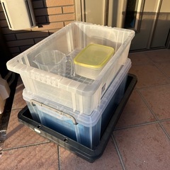 ボックス容器 各種セット（トロ舟・NVBOX・NFBOXなど）の画像