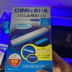 熱帯魚セットの画像