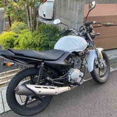 ヤマハ YBR125 実働 の画像