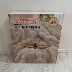 ふわとろ毛布 ホワイト 電気毛布 掛け敷き兼用 大判サイズ 炭素繊維ヒーター 両用 ミンクの画像