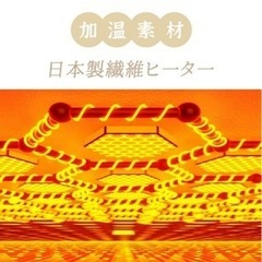 ふわとろ毛布 ホワイト 電気毛布 掛け敷き兼用 大判サイズ 炭素繊維ヒーター 両用 ミンクの画像