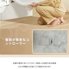 ふわとろ毛布 ホワイト 電気毛布 掛け敷き兼用 大判サイズ 炭素繊維ヒーター 両用 ミンクの画像