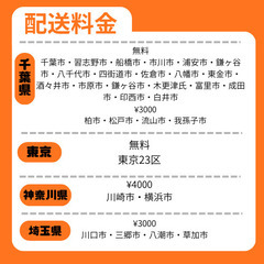 ブリヂストン ビッケ 12.3Ah 電動自転車中古【B4L68631】の画像