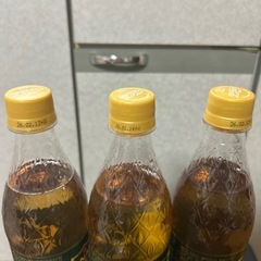 ジンジャーエール500ml 3本の画像