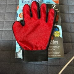 グルーミンググローブ　犬の画像