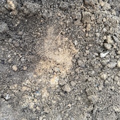 お譲り先決定！【無料】園芸に使用していた庭土（48×62cm土嚢袋・約15袋）引き取りに来てくださる方募集【日進市 赤池町付近】の画像