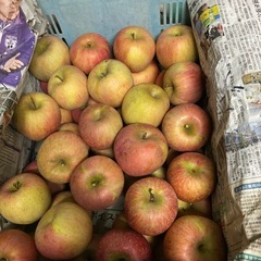 決まりました🙏サンふじ🍎B級品以下の訳あり品セルフ詰め替え約13kgの画像
