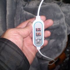 メーカー不明　電気毛布　縦150㎝横80㎝の画像