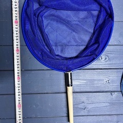 タモ網　9本セットの画像