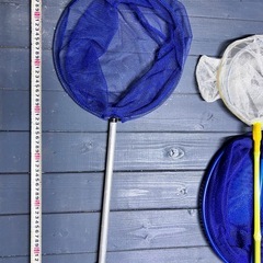 タモ網　9本セットの画像