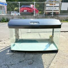 ❗️✨日常の癒しに✨❗️】水槽セット 90cmクラス NISSO 上部
