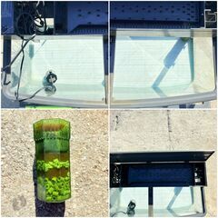 ❗️✨日常の癒しに✨❗️】水槽セット 90cmクラス NISSO 上部