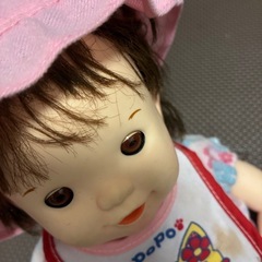 ぽぽちゃんの画像