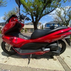 pcx 走行距離5000キロ　バイクの画像