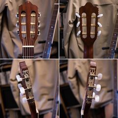 Stars & Strings SS-C10 OR フジゲン製エレアコの画像