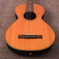 Stars & Strings SS-C10 OR フジゲン製エレアコの画像