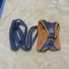 ウサギの散歩紐の画像