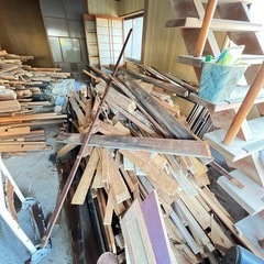 マキにどうですか！！の画像