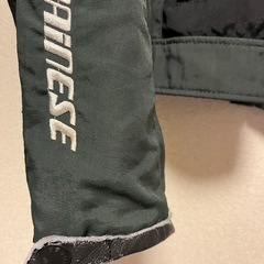 ダイネーゼ  （DAiNESE）ジャケットの画像