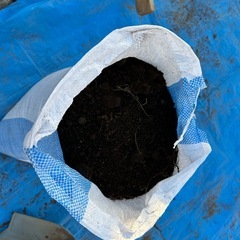 商談中　
庭土　残土　土嚢袋10 袋　差し上げます　の画像